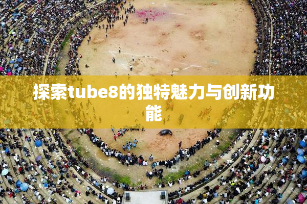 探索tube8的独特魅力与创新功能