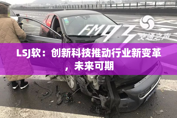 LSJ软：创新科技推动行业新变革，未来可期