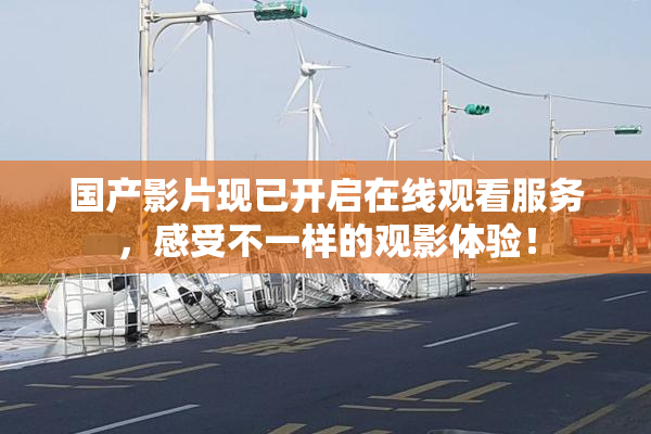 国产影片现已开启在线观看服务，感受不一样的观影体验！