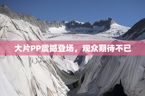 大片PP震撼登场，观众期待不已