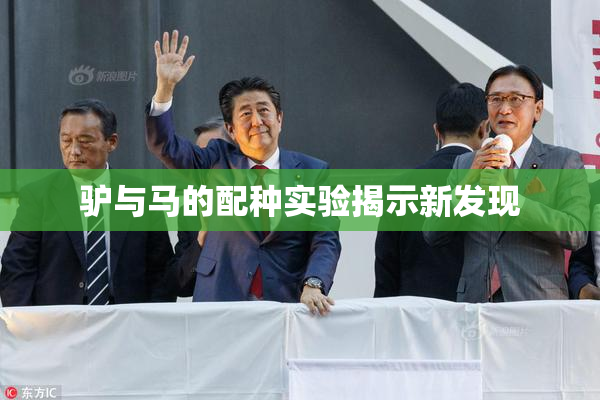 驴与马的配种实验揭示新发现