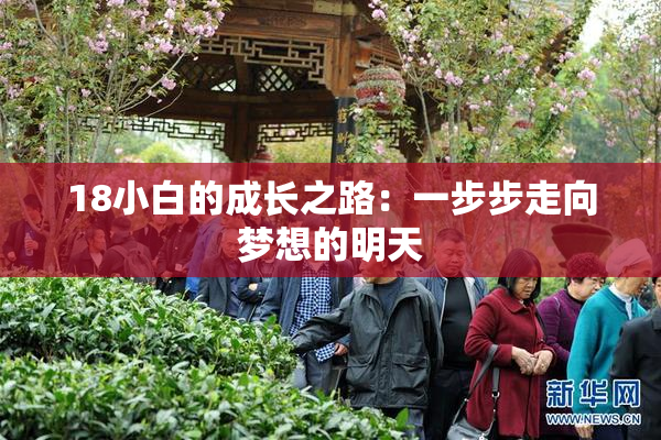 18小白的成长之路：一步步走向梦想的明天