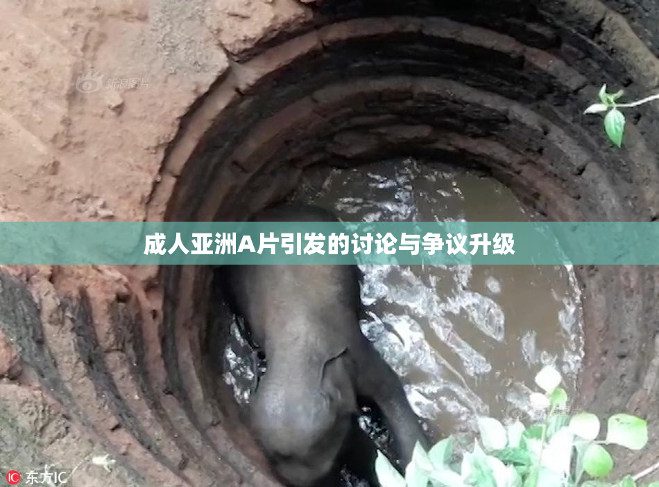 成人亚洲A片引发的讨论与争议升级