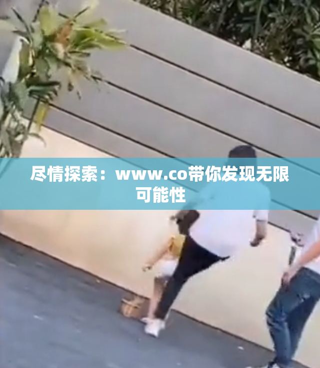 尽情探索：www.co带你发现无限可能性