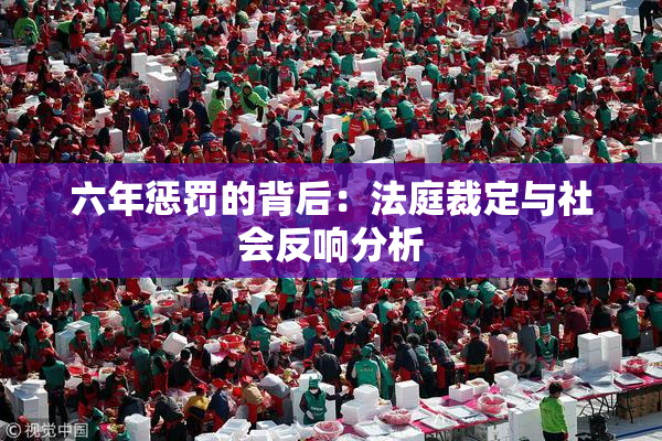 六年惩罚的背后：法庭裁定与社会反响分析