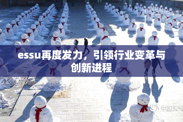 essu再度发力，引领行业变革与创新进程