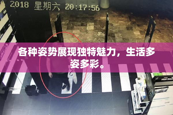 各种姿势展现独特魅力，生活多姿多彩。