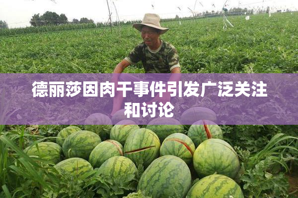 德丽莎因肉干事件引发广泛关注和讨论