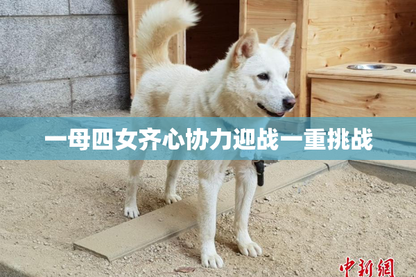 一母四女齐心协力迎战一重挑战