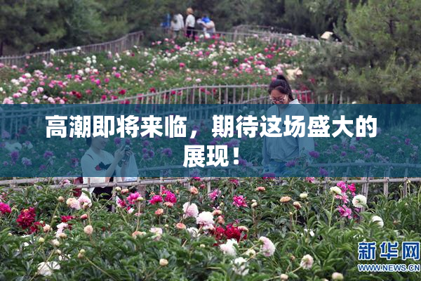 高潮即将来临，期待这场盛大的展现！