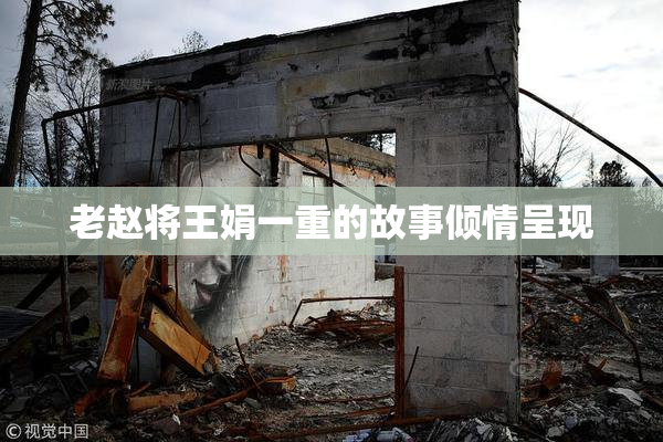 老赵将王娟一重的故事倾情呈现