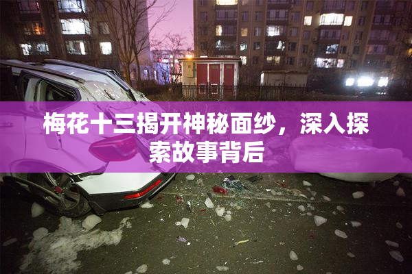 梅花十三揭开神秘面纱，深入探索故事背后