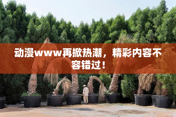 动漫www再掀热潮，精彩内容不容错过！