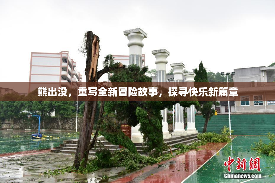 熊出没，重写全新冒险故事，探寻快乐新篇章