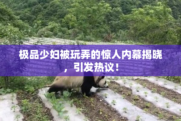 极品少妇被玩弄的惊人内幕揭晓，引发热议！