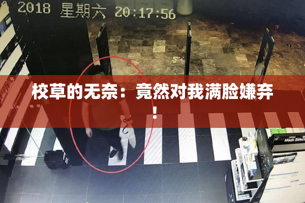 校草的无奈：竟然对我满脸嫌弃！