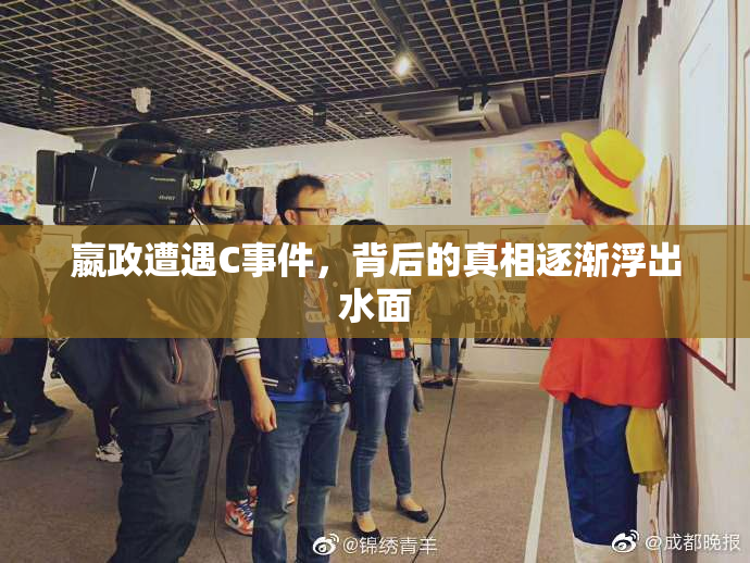 嬴政遭遇C事件，背后的真相逐渐浮出水面