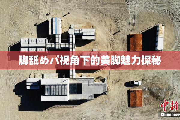 脚舐めパ视角下的美脚魅力探秘