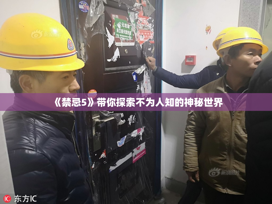 《禁忌5》带你探索不为人知的神秘世界
