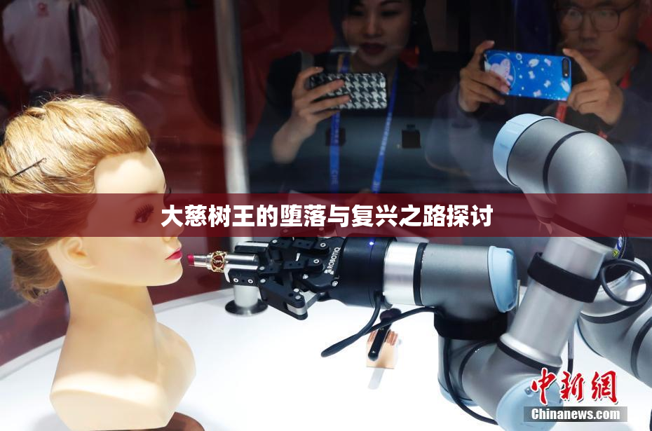 大慈树王的堕落与复兴之路探讨