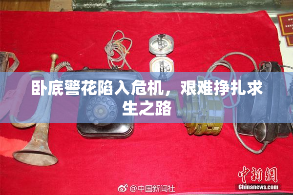 卧底警花陷入危机，艰难挣扎求生之路