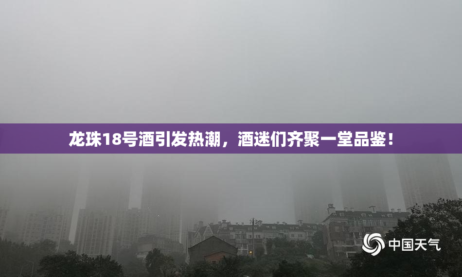 龙珠18号酒引发热潮，酒迷们齐聚一堂品鉴！