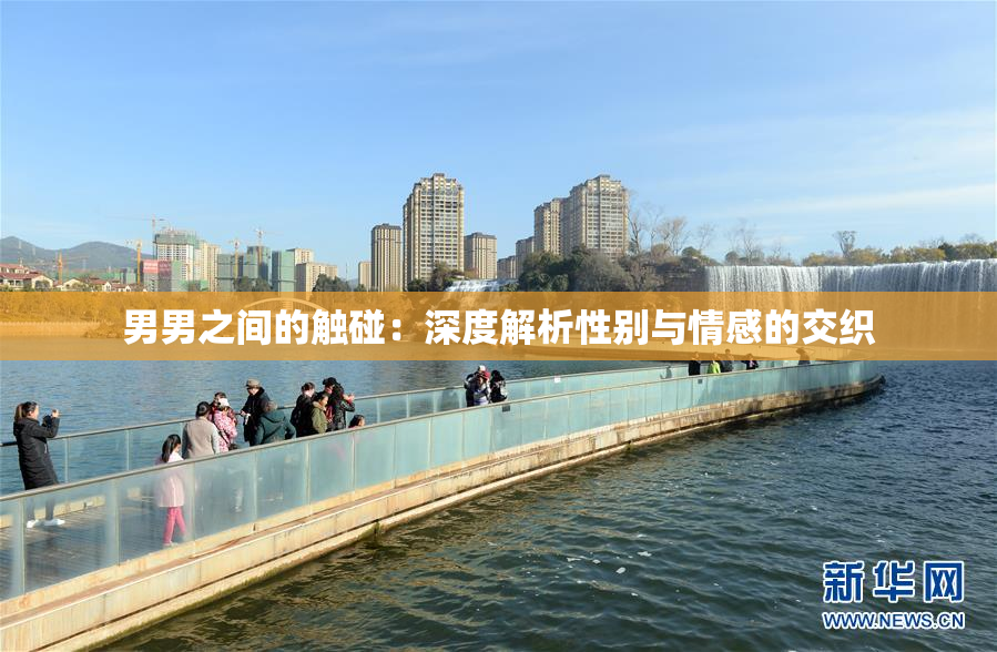 男男之间的触碰：深度解析性别与情感的交织