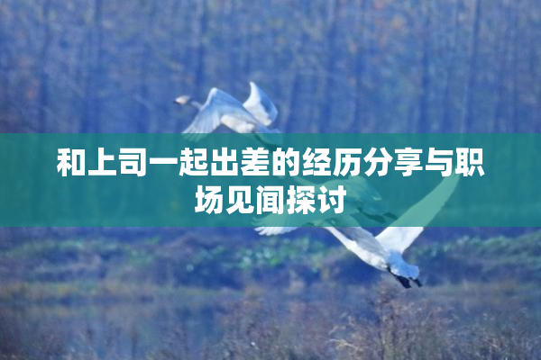 和上司一起出差的经历分享与职场见闻探讨