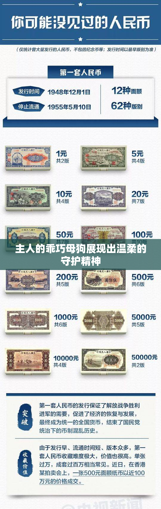 主人的乖巧母狗展现出温柔的守护精神