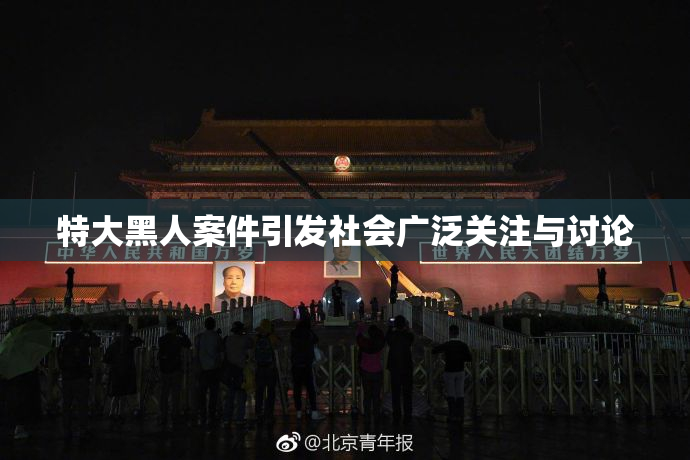 特大黑人案件引发社会广泛关注与讨论