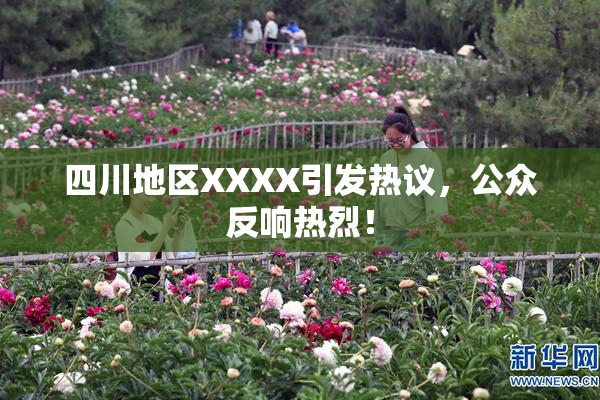 四川地区XXXX引发热议，公众反响热烈！