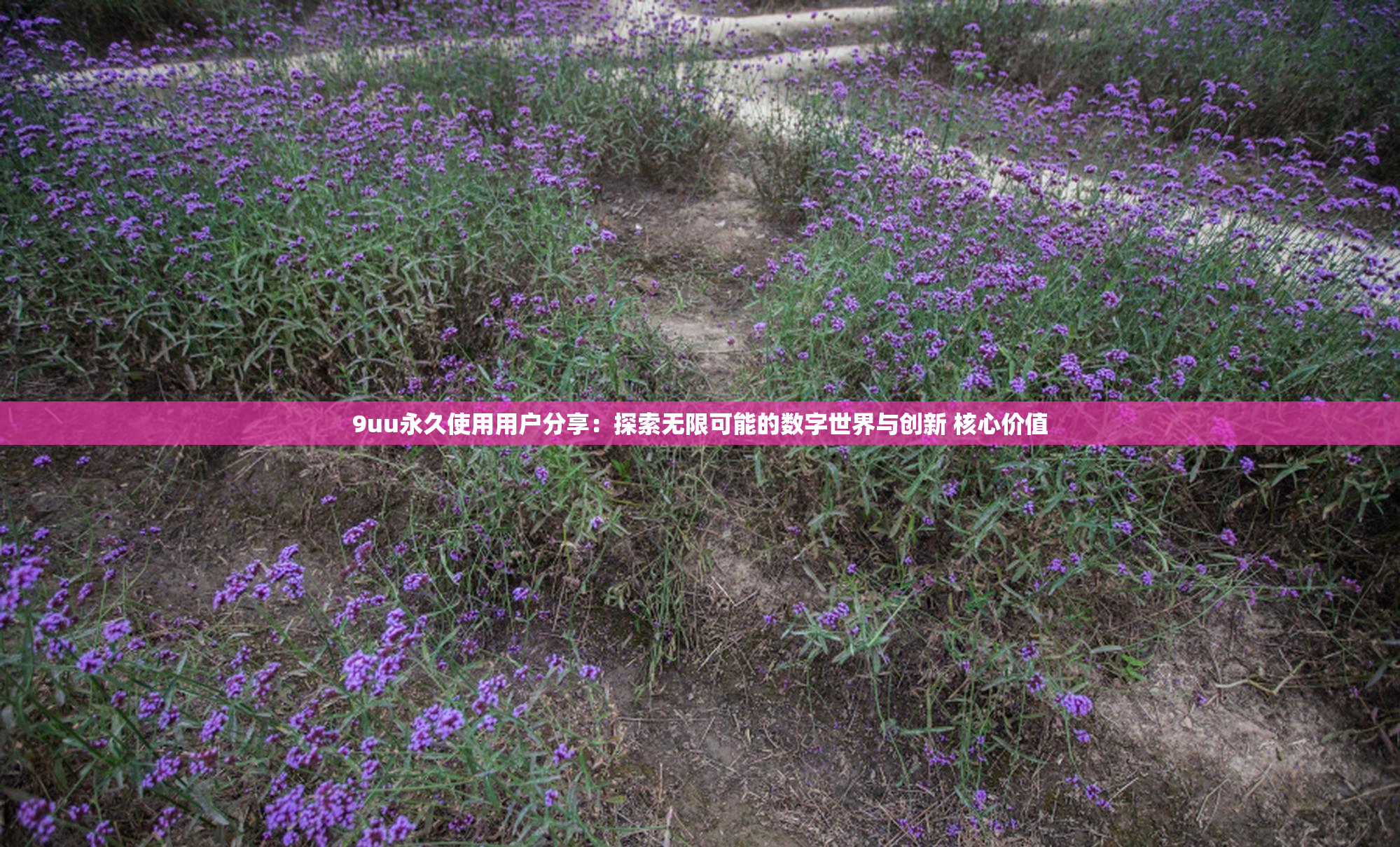 9uu永久使用用户分享：探索无限可能的数字世界与创新 核心价值