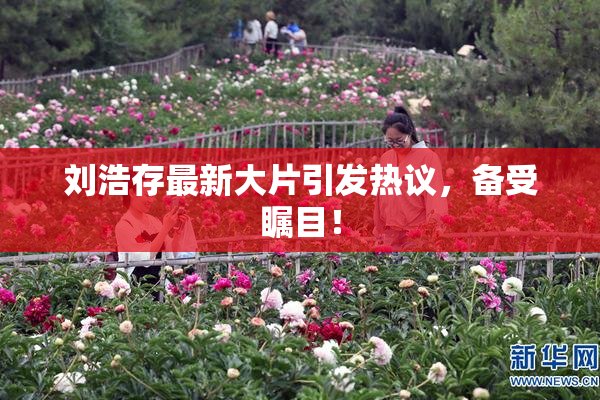 刘浩存最新大片引发热议，备受瞩目！