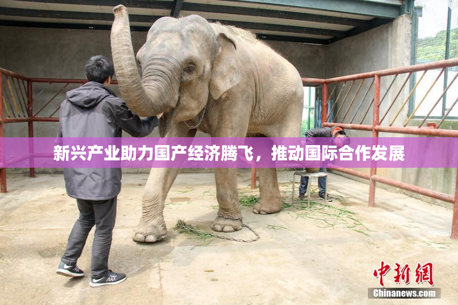 新兴产业助力国产经济腾飞，推动国际合作发展