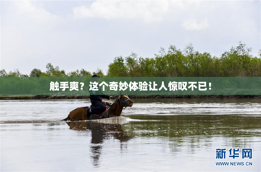触手爽？这个奇妙体验让人惊叹不已！