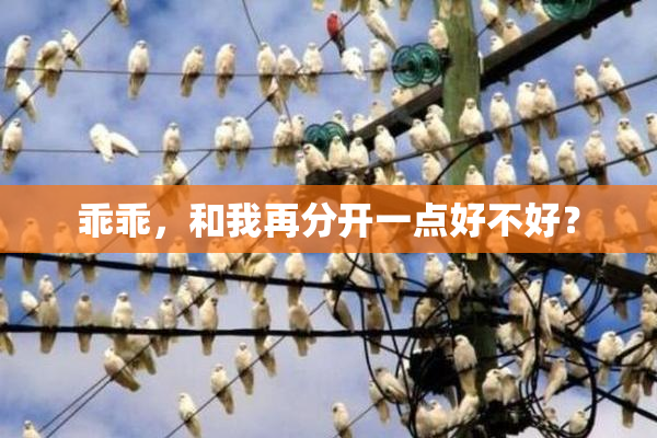乖乖，和我再分开一点好不好？