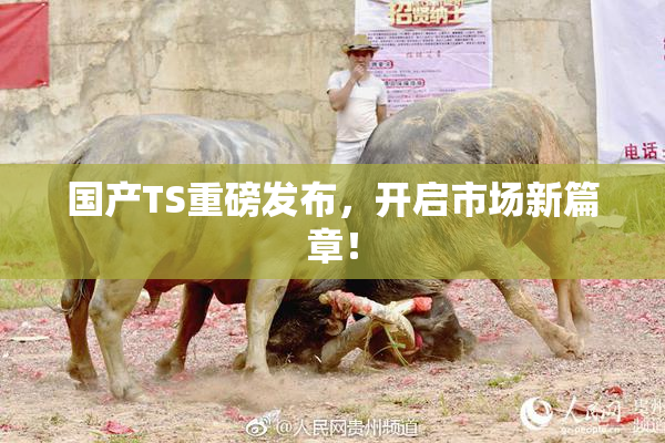 国产TS重磅发布，开启市场新篇章！