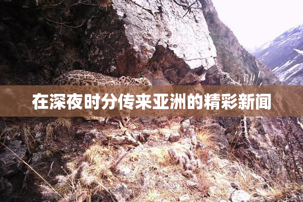 在深夜时分传来亚洲的精彩新闻