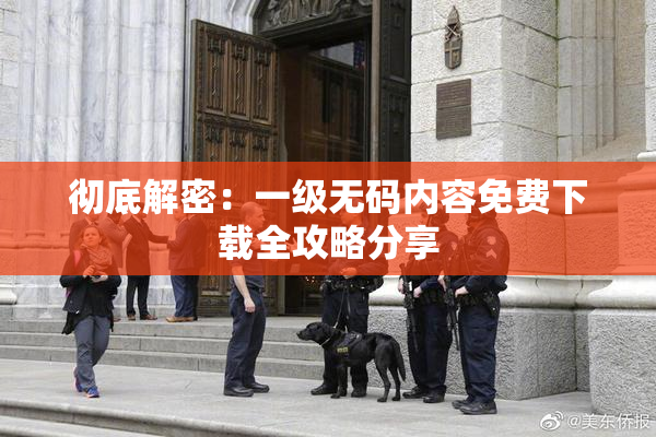 彻底解密：一级无码内容免费下载全攻略分享