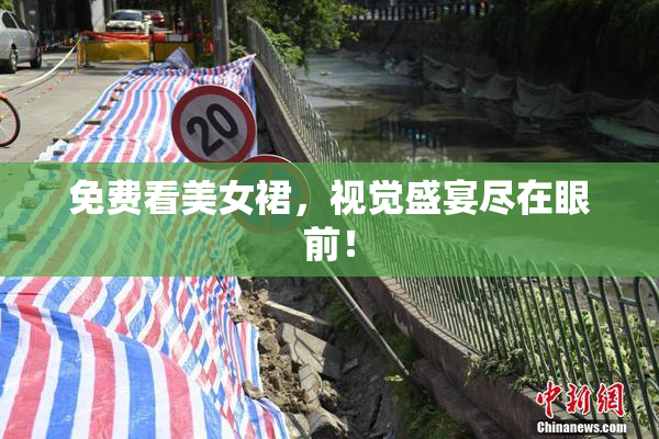 免费看美女裙，视觉盛宴尽在眼前！