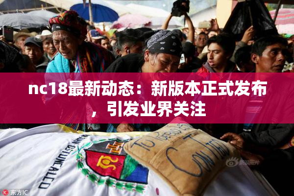 nc18最新动态：新版本正式发布，引发业界关注