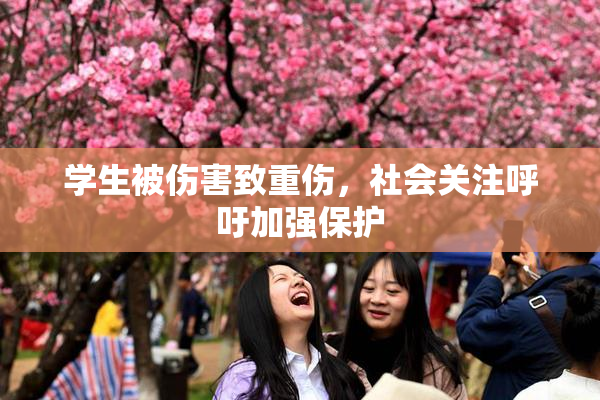 学生被伤害致重伤，社会关注呼吁加强保护