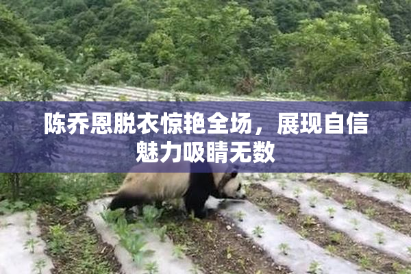 陈乔恩脱衣惊艳全场，展现自信魅力吸睛无数