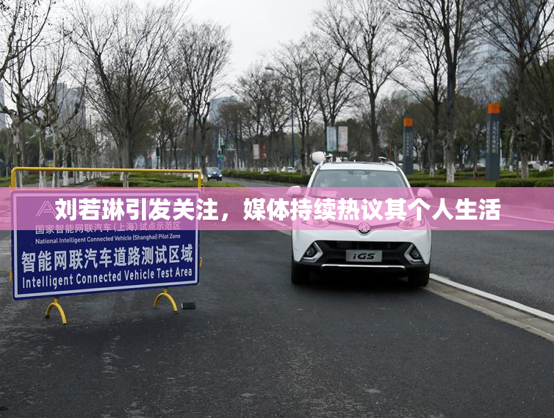 刘若琳引发关注，媒体持续热议其个人生活