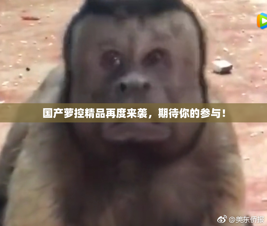 国产萝控精品再度来袭，期待你的参与！