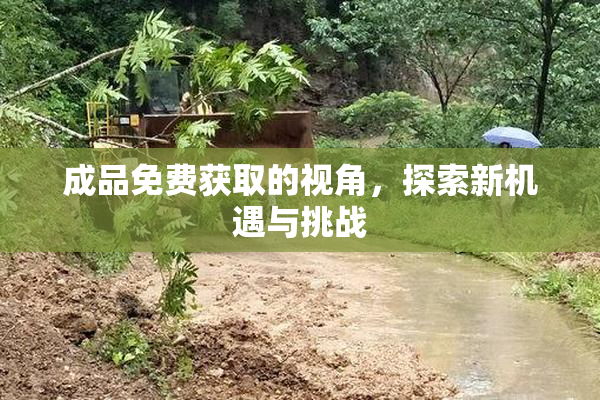 成品免费获取的视角，探索新机遇与挑战
