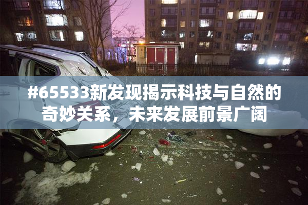 #65533新发现揭示科技与自然的奇妙关系，未来发展前景广阔