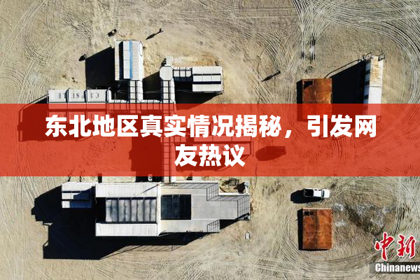 东北地区真实情况揭秘，引发网友热议