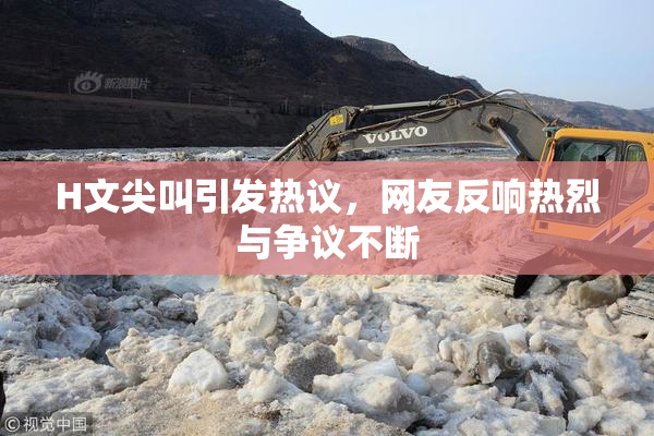 H文尖叫引发热议，网友反响热烈与争议不断