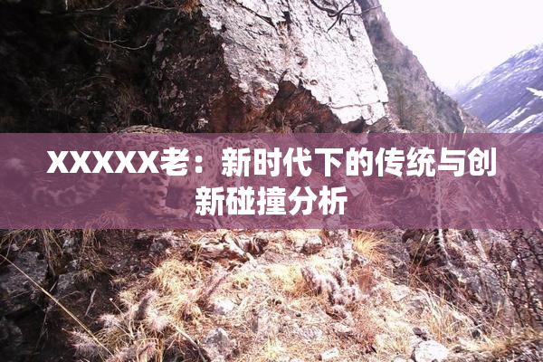 XXXXX老：新时代下的传统与创新碰撞分析